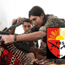YBS-logo
